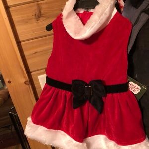 Mrs. Claus Costume for a Dog